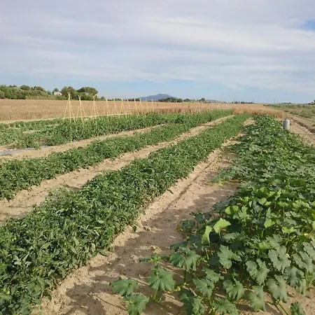 Vakantieboerderij Il Papavero